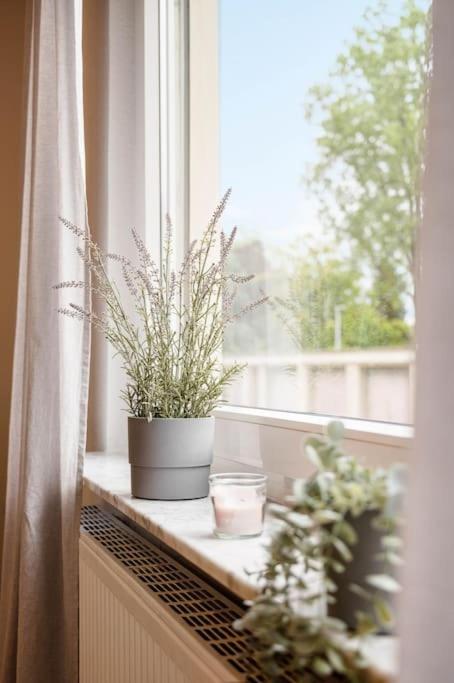 Casa Aguila - Viernheim Apartment Ngoại thất bức ảnh